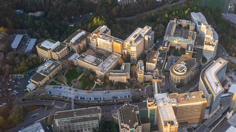 Required Essays for those applying to REGULAR M. . Ohsu sdn 2024